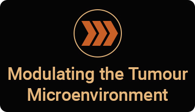 Modulating the Tumour Microenvironment